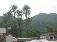 Mount Abu Hill Station - Mount Abu Hotels